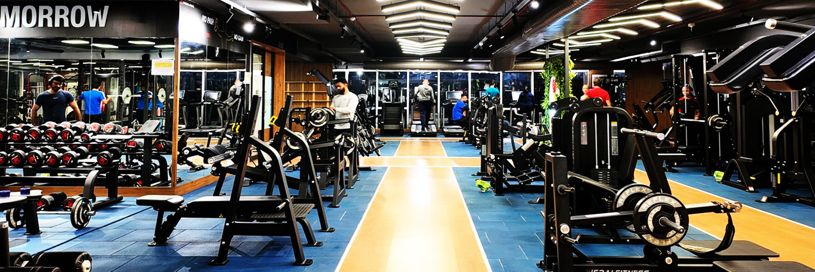 Gymnasium Installation